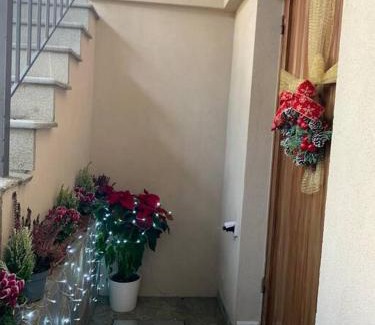 Trikala Appartement | TriCalifornia's House