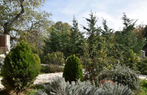 Mesaia Trikala Maison | Trikalon Muses Art Suites