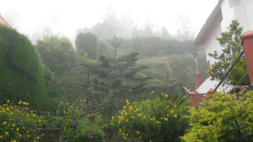 Kotagiri Hôtel | Trilan Cottages - Donnington Road
