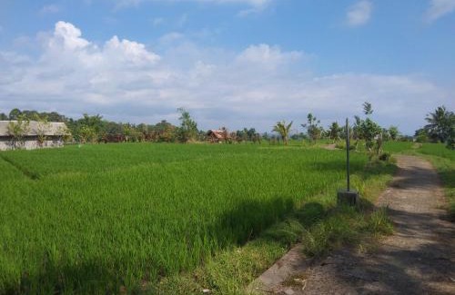 Penebel Maison | Trinadhi Homestay
