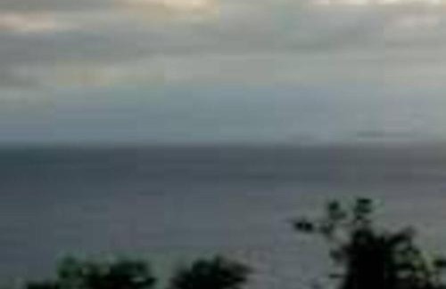 Lobo Maison | Triple N Homestay Beachfront House in Lobo