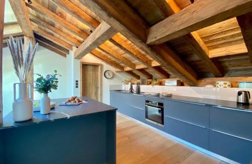 Morzine Appartement | Triplex de luxe à Morzine: 4 suites, jacuzzi, proche commerces et navettes, animaux acceptés - FR-1-627-69
