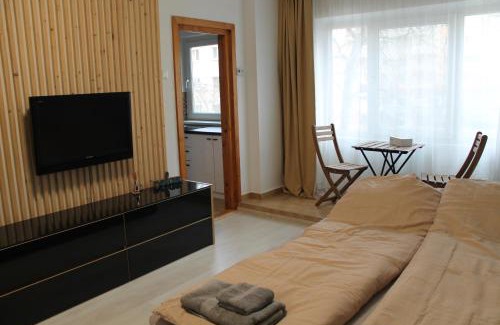 Sfantu Gheorghe Appartement | Tristan`s Home
