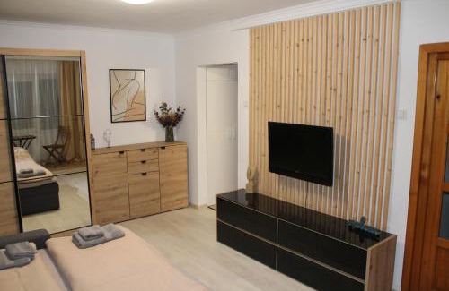 Sfantu Gheorghe Appartement | Tristan`s Home