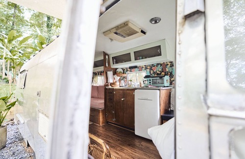 DeKalb County Maison | Tropical Airstream Oasis with Sauna, pool and Hot-tubl!