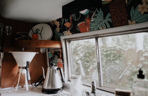 DeKalb County Maison | Tropical Airstream Oasis with Sauna, pool and Hot-tubl!