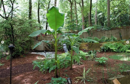 DeKalb County Maison | Tropical Airstream Oasis with Sauna, pool and Hot-tubl!