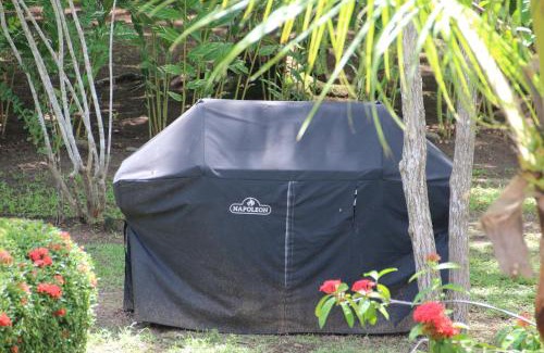 Damas Appartement | Tropical Bliss Pool Wi-Fi BBQ Near Quepos Manuel Antonio
