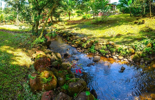 Penjamo Cabine | Tropical Cabin Near La Fortuna - Private Pool & BBQ Oasis