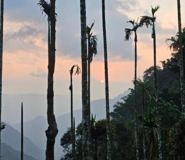 Vayittiri Autre | Tropical camping