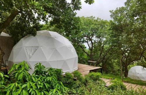 Dinh Quan Autre | Tropical eglamping