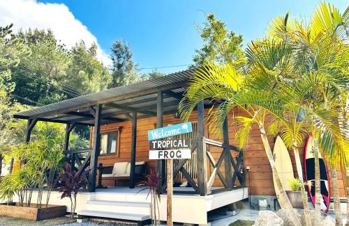 Nakama Maison | Tropical Frog