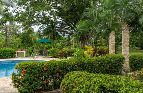 Damas Appartement | Tropical Oasis Family 2bdr