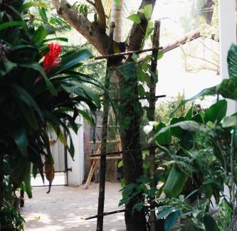 Pottuvil Division 2 Maison | Tropicana Home Stay