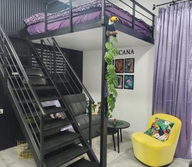 Amnon Maison | Tropicana
