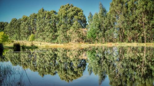 Dullstroom Maison | Trout Escape Farm