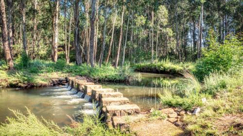 Dullstroom Maison | Trout Escape Farm
