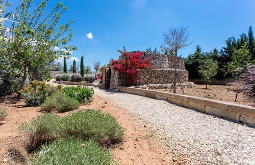 Capilungo Maison | Trullo Timo - Salento Reservation