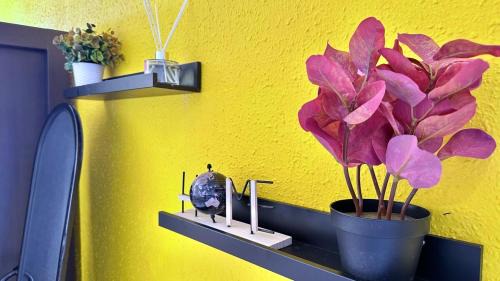 Haifa Appartement | Truman beach Resort Apartment