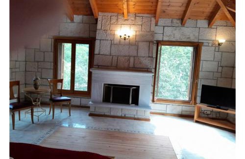 Vatsounia Appartement | Tsarouxi village 1