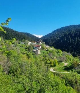Lamia Maison | Tsigaridas Mountain Home