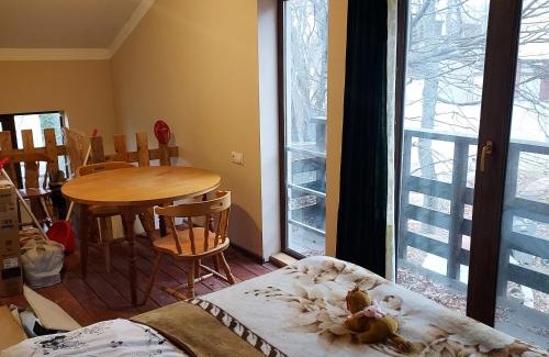 Tsqneti Appartement | Tskneti