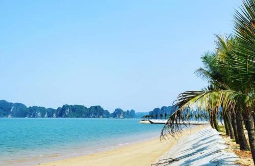 Ha Long Hôtel | Tuan Chau Havana Hotel