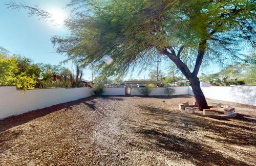 Sam Hughes Maison | Tucson Treasure