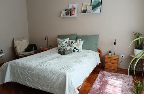 Bekescsaba Appartement | Tulipán Apartman