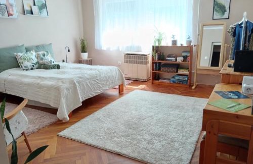 Bekescsaba Appartement | Tulipán Apartman