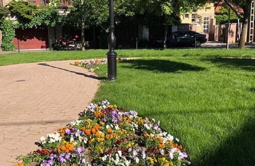 Szolnok Lit Et Petit-Déjeuner | Tulipán Villa Panzió