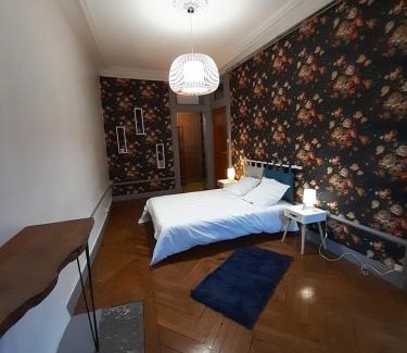 Tulle Appartement | Tulle Centre : grand et bel appartement