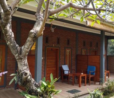Anturan Maison | Tunjung guest house lovina beach