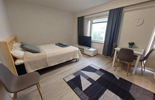 Lappeenranta Appartement | Tunnelmallinen yöpymispaikka sataman sydämessä
