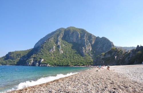 Olympos Station Balnéaire | Turkmen Tree Houses