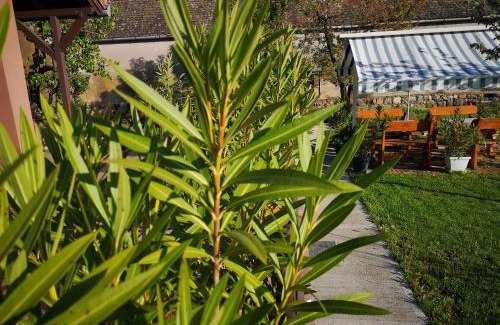 Tordinci Appartement | Turul -Kuća za odmor-