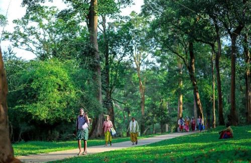 Sulthan Bathery Maison | Tusker Inn Forest Lodge