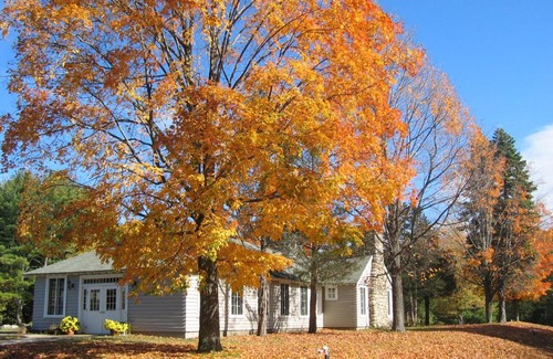 South Hampton Autre | Tuxbury Pond Camping Resort Tiny House Clara