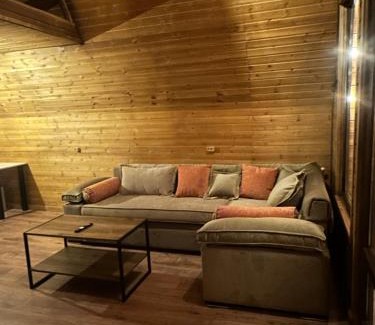 Kazbegi Chalet De Ski | Tuyo cottages Gudauri