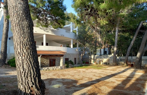 Ivan Dolac Appartement | Appartement de deux chambres prés de la plage Ivan Dolac, Hvar (A-21269-e)
