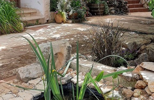Safed Appartement | Two stand-alone flats Galilee Sea Mountains View, BBQ, WiFi, Air Conditioner