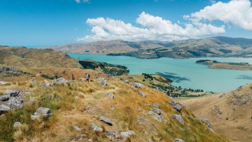 Christchurch City Centre Appartement | Two Units - 4 Bedrooms - 4 Bathrooms