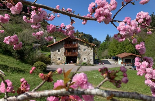 Gautegiz Arteaga Cottage | Appartement Txoritoki, Urresti