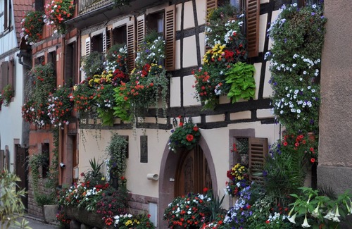 Ribeauville Appartement | appartement typique dans ancienne demeure viticole