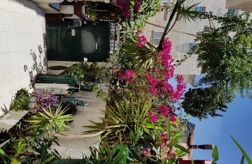 Jerusalem Appartement | Tzefania Apartments (103)