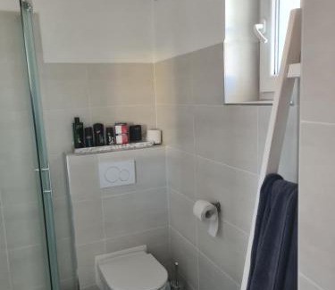 Velke Losiny Appartement | U-Aldy