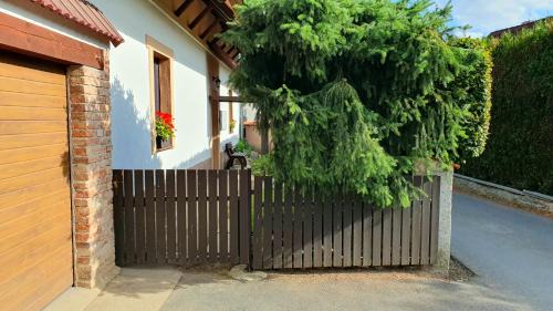 Stahlavy Appartement | U Jelínků