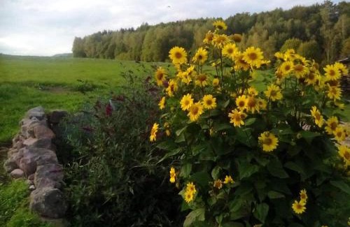 Odolov Appartement | U tátovy lípy
