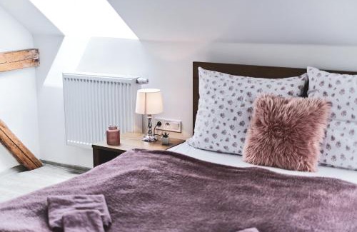 Zadni Chodov Maison | U Trautyho
