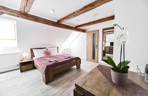 Zadni Chodov Maison | U Trautyho